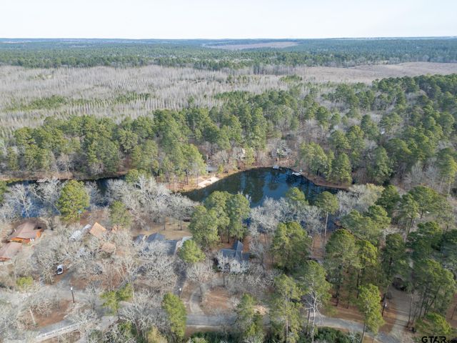 132 Pine Glen Lane, Holly Lake Ranch, TX 75765