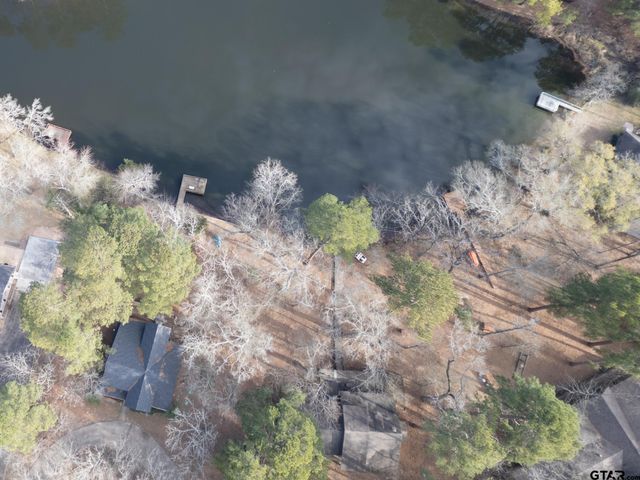 132 Pine Glen Lane, Holly Lake Ranch, TX 75765