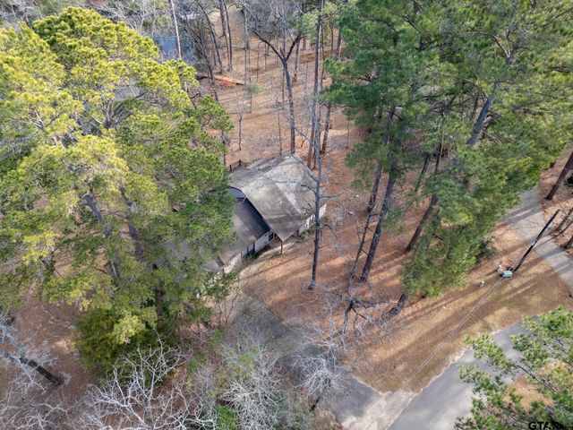 132 Pine Glen Lane, Holly Lake Ranch, TX 75765