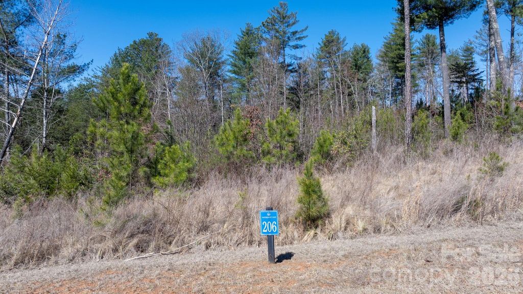 0 Scenic Lane 206, Granite Falls, NC 28630
