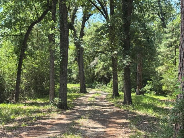 729 County Road 4040, Crockett, TX 75835