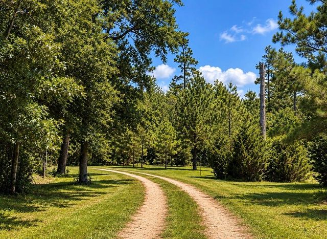 729 County Road 4040, Crockett, TX 75835