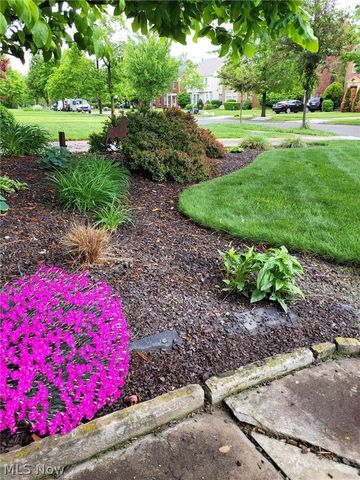 3646 Lynnfield Road, Shaker Heights, OH 44122
