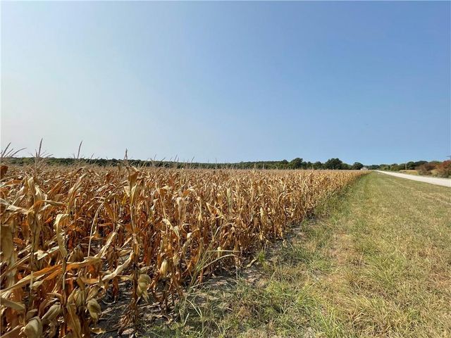 299th Street, Paola, KS 66071