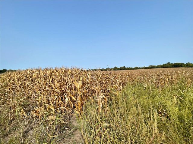 299th Street, Paola, KS 66071