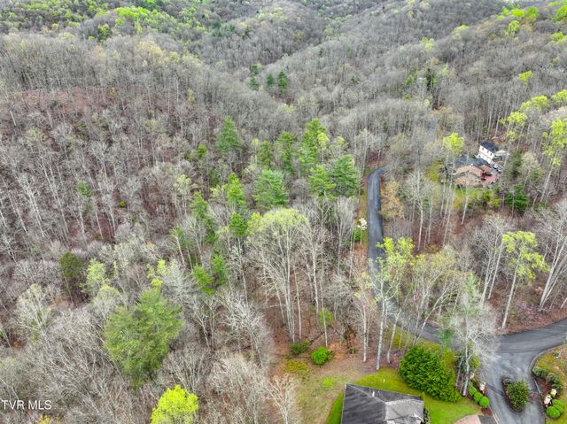 Tbd Skyline Drive, Bristol, TN 37620