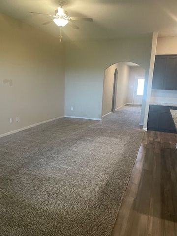 205 Lake Ridge Drive, Princeton, TX 75409