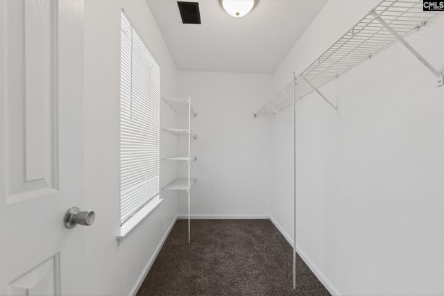 2178 Walker Solomon Way, Columbia, SC 29204