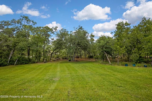 14108 Mulkerin Drive, Weeki Wachee, FL 34614