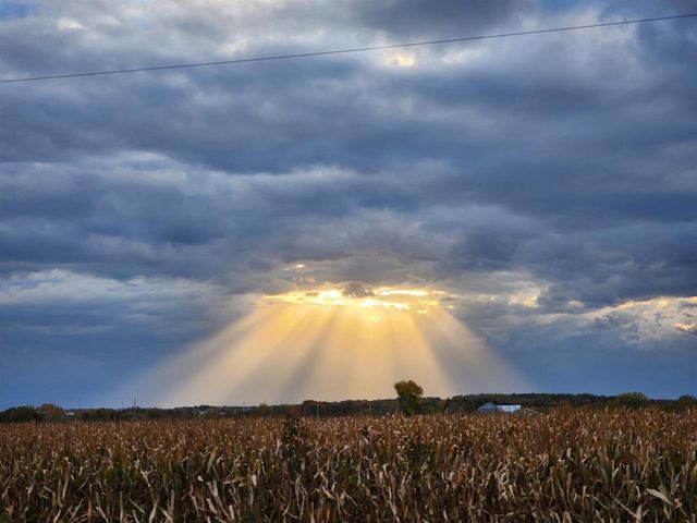 6096 Highway 73, Marshall, WI 53559