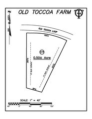 LT177 Old Toccoa Farm Loop, Mineral Bluff, GA 30559