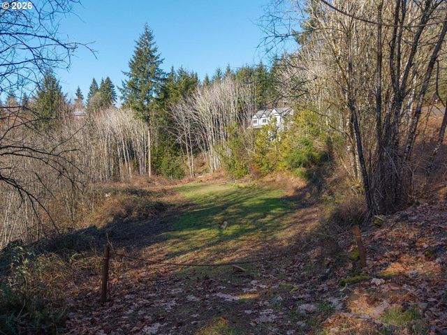 335 HILLSDALE Dr, Woodland, WA 98674