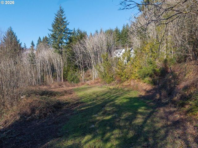 335 HILLSDALE Dr, Woodland, WA 98674