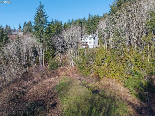 335 HILLSDALE Dr, Woodland, WA 98674