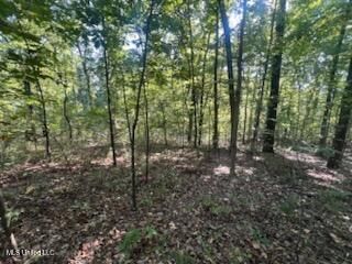 11402 Sequoyah Drive, Hernando, MS 38632