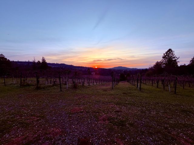 3900 Tawanka Rd, Somerset, CA 95684