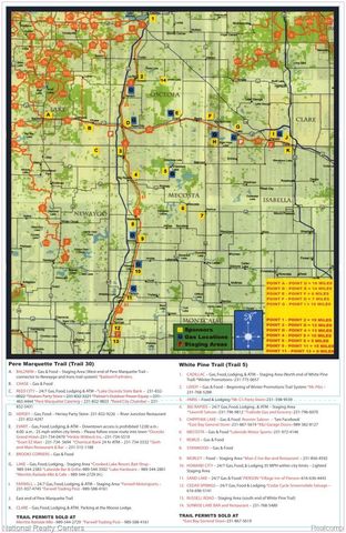 523 N Pine Street, Evart Township, MI 49631