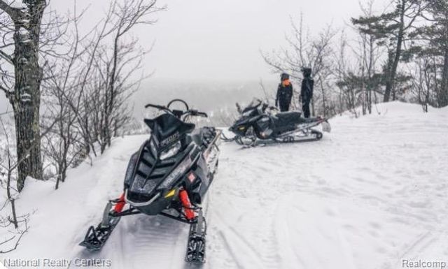 523 N Pine Street, Evart Township, MI 49631