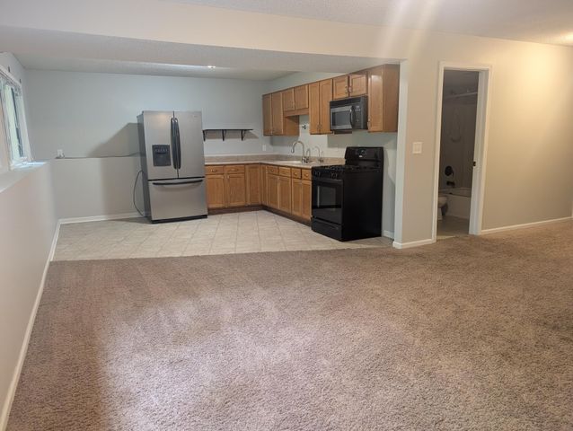 15725 Sycamore Street NW, Andover, MN 55304