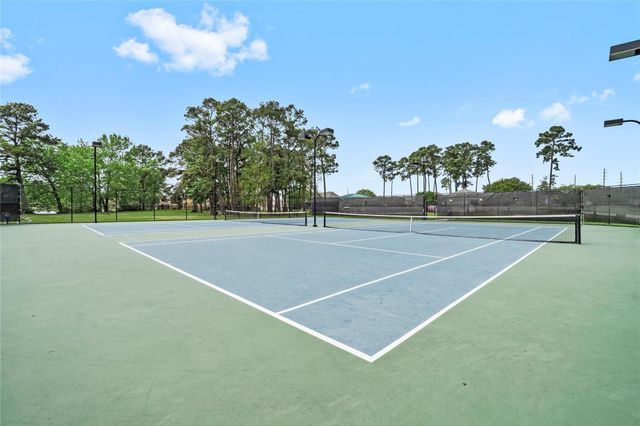 19226 Trinity Terrace Lane, Spring, TX 77379