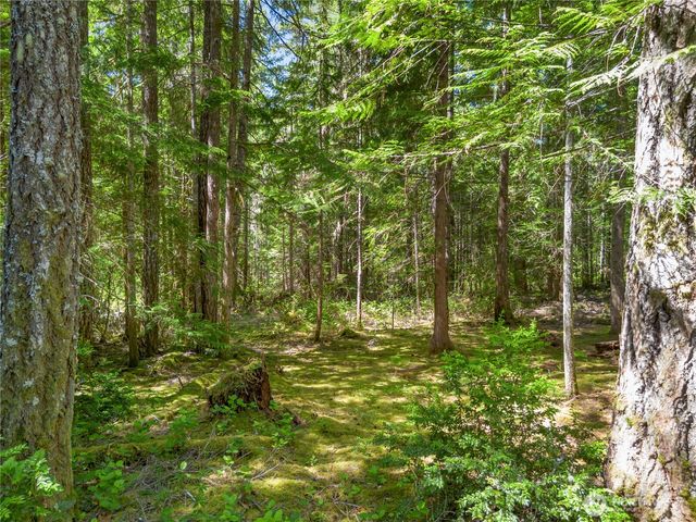 421 N Mt Jupiter Drive, Hoodsport, WA 98548