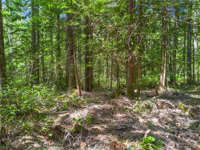 421 N Mt Jupiter Drive, Hoodsport, WA 98548
