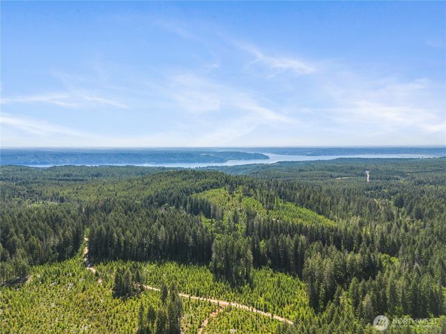 421 N Mt Jupiter Drive, Hoodsport, WA 98548