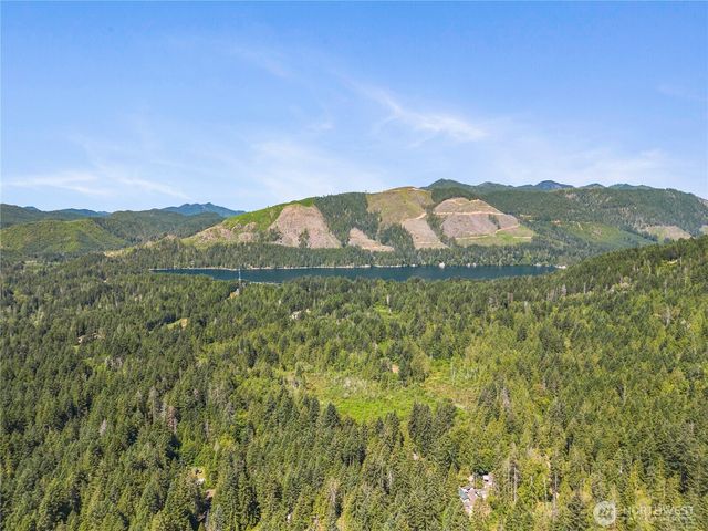 421 N Mt Jupiter Drive, Hoodsport, WA 98548