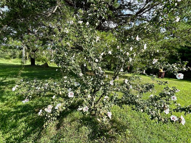 7485 State Hwy 1675, Somerset, KY 42501