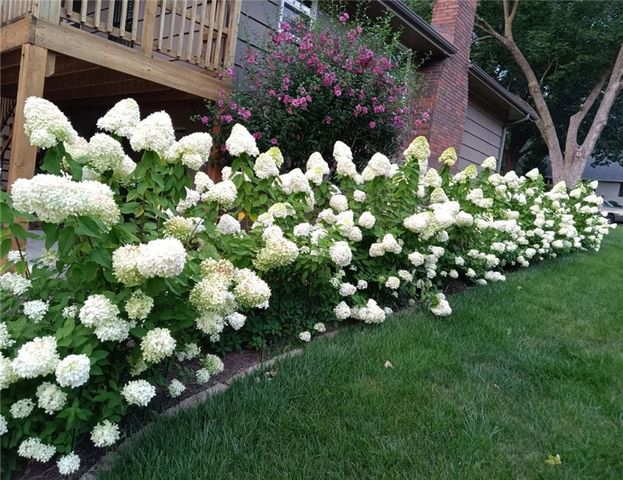 8830 8830 Ivanhoe Trail, Kansas City, MO 64131