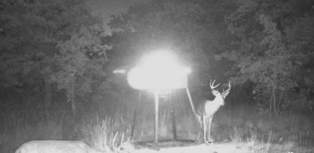 147 Fox Run Road, Bowie, TX 76230