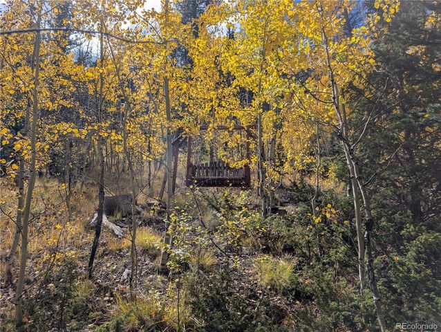 651 Depot Drive, Hartsel, CO 80449