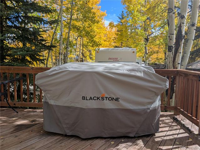 651 Depot Drive, Hartsel, CO 80449