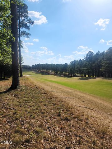 65 High Ridge Lane, Pittsboro, NC 27312