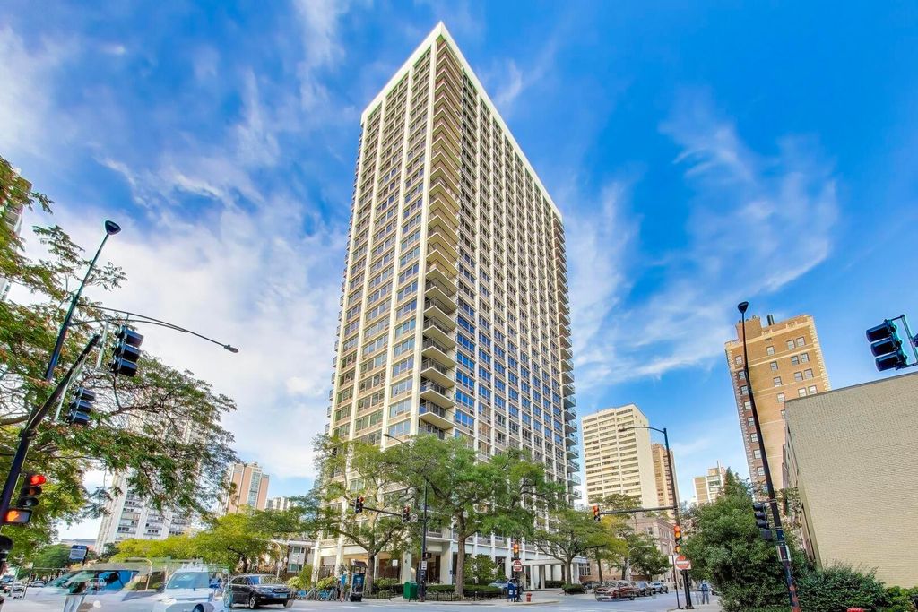 88 W Schiller Street 2903L, Chicago, IL 60610