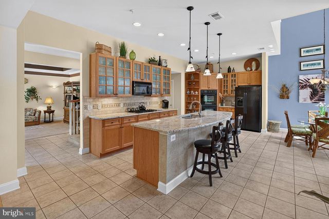 22094 S PRESERVATION DR, Millsboro, DE 19966