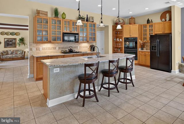 22094 S PRESERVATION DR, Millsboro, DE 19966