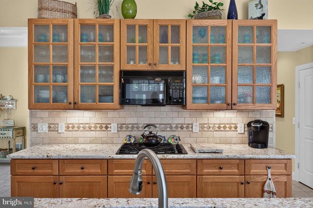 22094 S PRESERVATION DR, Millsboro, DE 19966