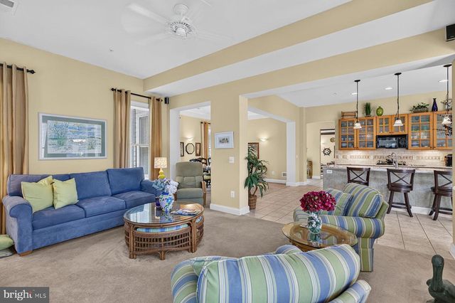 22094 S PRESERVATION DR, Millsboro, DE 19966