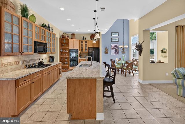 22094 S PRESERVATION DR, Millsboro, DE 19966
