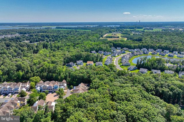 22094 S PRESERVATION DR, Millsboro, DE 19966