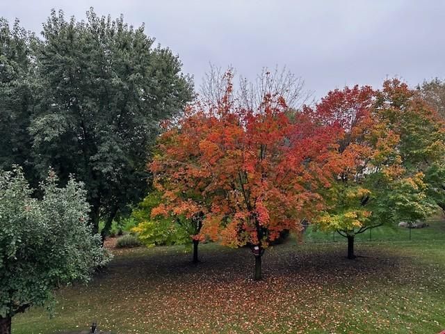 8927 W 136th Street, Savage, MN 55378