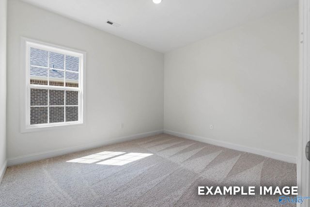 100 Lucy Lynn Boulevard, Meridianville, AL 35759