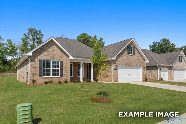 100 Lucy Lynn Boulevard, Meridianville, AL 35759