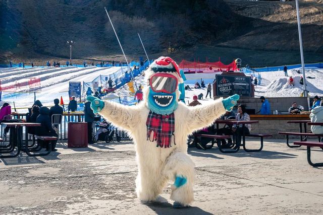 0 Timberline Dr, Wrightwood, CA 92397