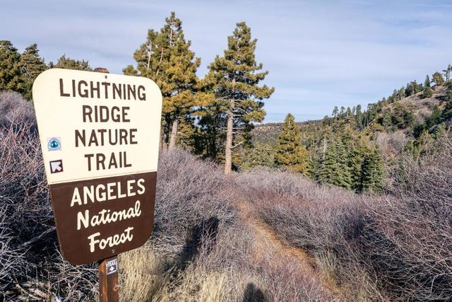 0 Timberline Dr, Wrightwood, CA 92397