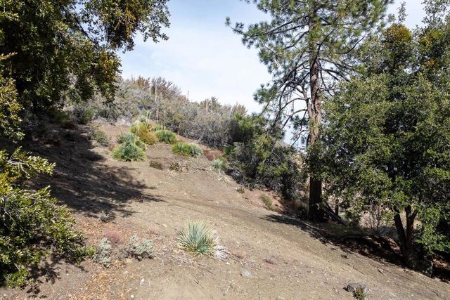0 Timberline Dr, Wrightwood, CA 92397
