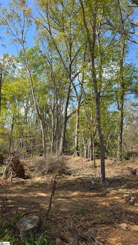 0 Dalton Road, Piedmont, SC 29673