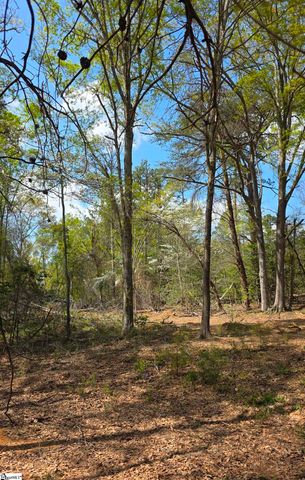 0 Dalton Road, Piedmont, SC 29673