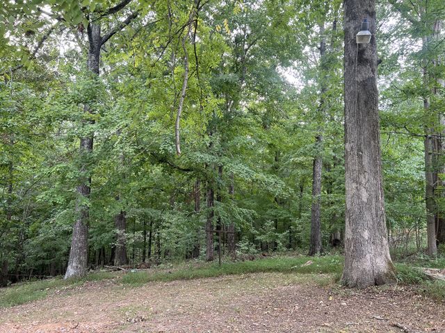 1408 Cumberland Heights Rd, Clarksville, TN 37040